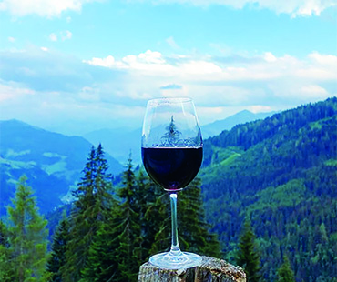 горные походы и бутылка вина 